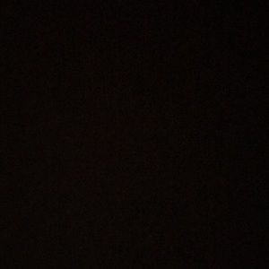 Meet your Posher, Ellie